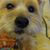 Barb Fissell's profile image