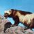 Joseph A. Mattson's profile image