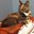 Elizabeth Towle's profile image