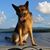 Oliver Bradshaw's profile image