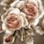 Amber Brasseaux's profile image