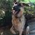 Cathy Melone's profile image