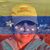 Lisbeth Jaimes Pulaski's profile image