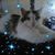 Kristi Lela Cooper's profile image
