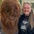 Tracy Brennan's profile image