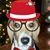 Michael Kevin Jarnagin's profile image