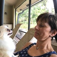 Lori Light Solon's profile image