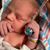 Janice Iannarelli's profile image