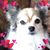 Lynne Woodcock Gale's profile image