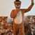 Nila J. Reutzel-Irwin's profile image