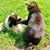 Wendy Lea's profile image