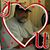 Michelle Ketion's profile image