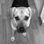 Heather Hoopes-Ogden's profile image