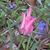 Marie White Bogue's profile image