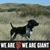 John DeRespini's profile image