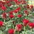 Jose Lunita's profile image