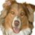 JoAnne Kerr's profile image