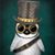 Tim Wiley's profile image