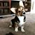 Gena Fulton's profile image