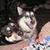 Lisa Duncan-collins's profile image