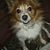 Jenny Vaught's profile image