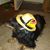 Autumn Green's profile image