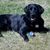 Tanya Moffitt's profile image