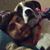 Hunter De Marco's profile image