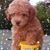 Rosa E. Garcia's profile image
