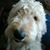 Melissa Baumann Guffey's profile image