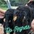 Jerry Caldwell's profile image