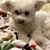 Susan Rebholtz's profile image