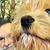 Richard McFarland's profile image