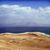 Sandra Dwyer's profile image