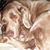 Katy Pooley Chappelear's profile image