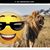 Sunny Ruiz's profile image