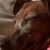 Scarlett Tara Mobley's profile image