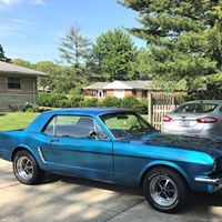 Mike Salloum's profile image