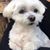 Melissa Sublette's profile image