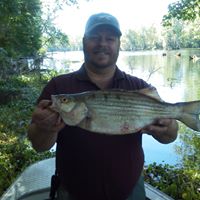 Ted Bickish Sr.'s profile image