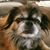 Cheryl Schafer's profile image