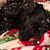 Mary Shiver's profile image