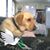 Charles Harter's profile image