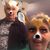 Janet Donohue Armbrust's profile image