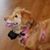 Sharon Wilson's profile image
