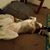Linda Mount's profile image