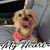 Stacey Dearman's profile image
