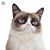 Barbara English's profile image
