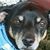 Jon Munch Jr.'s profile image