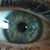 Shannon Sofia Fiorella Biffi's profile image
